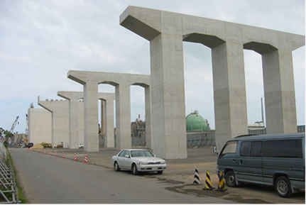 橋脚５基　施工直後の全容